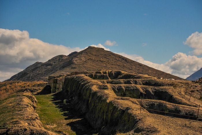 Onions and Daily Food