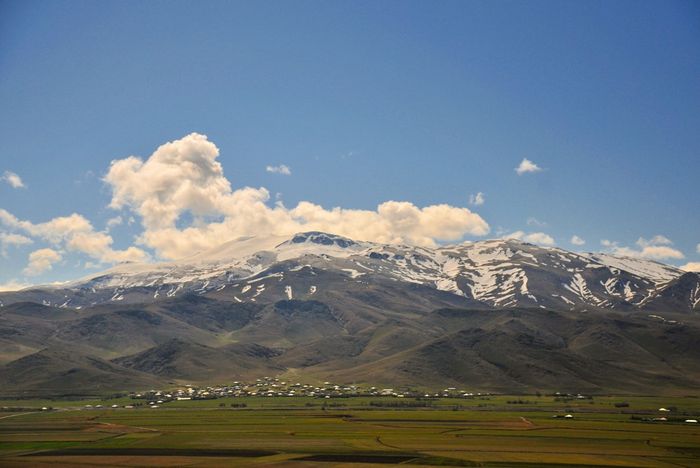 Abundance of Fruits and Crops